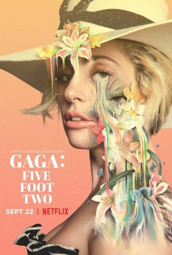 Постер к Гага: 155 см (2017)